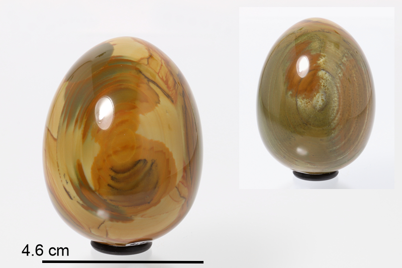 Jasper Eggs (USA)
